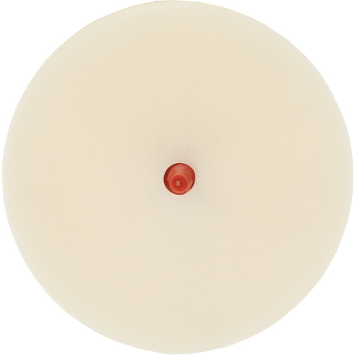 Scotch-Brite Moulding Adhesive & Stripe Removal Disc, 7501, 4" Dia. Kelford