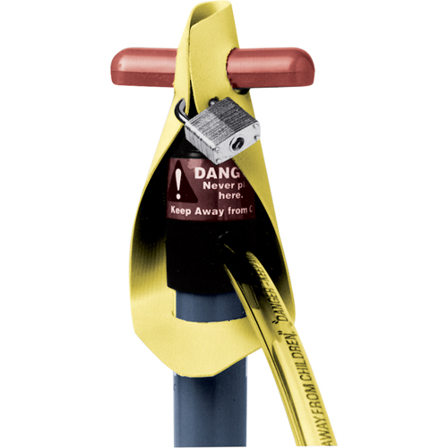 Strap Locks Kelford