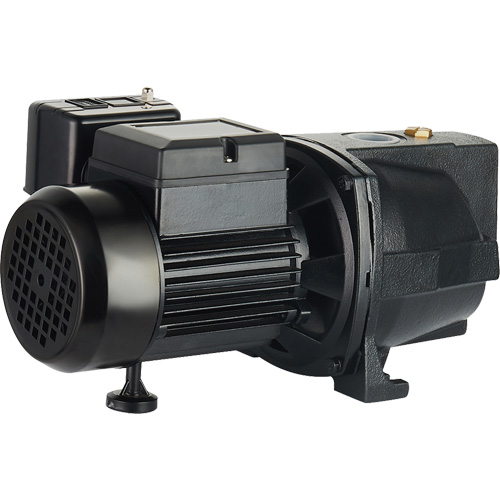 Dual Voltage Cast Iron Shallow Well Jet Pump, 115 V/230 V, 1100 GPH, 1 HP Kelford