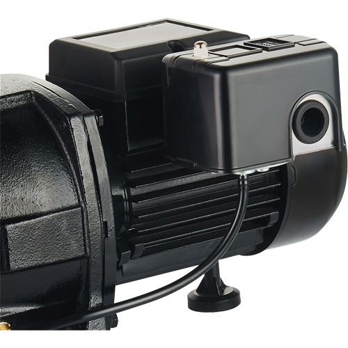 Dual Voltage Cast Iron Shallow Well Jet Pump, 115 V/230 V, 1100 GPH, 1 HP Kelford