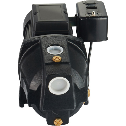 Dual Voltage Cast Iron Shallow Well Jet Pump, 115 V/230 V, 1100 GPH, 1 HP Kelford
