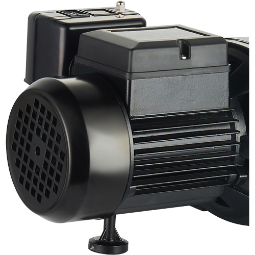 Dual Voltage Cast Iron Shallow Well Jet Pump, 115 V/230 V, 1100 GPH, 1 HP Kelford