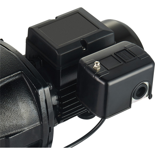 Dual Voltage Cast Iron Shallow Well Jet Pump, 115 V/230 V, 1100 GPH, 1 HP Kelford