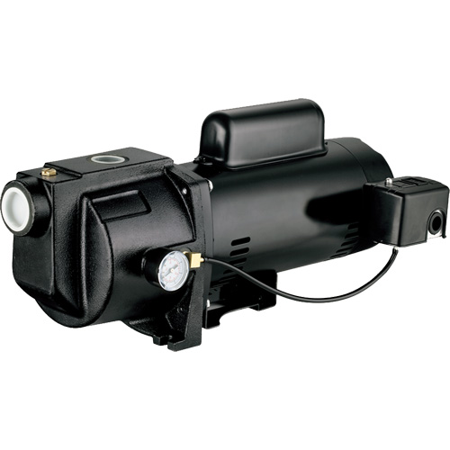 Dual Voltage Cast Iron Shallow Well Jet Pump, 115 V/230 V, 1260 GPH, 1 HP Kelford