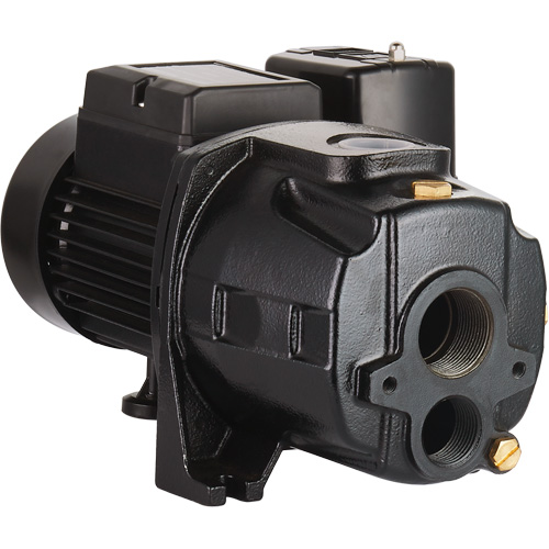 Dual Voltage Cast Iron Convertible Jet Pump, 115 V/230 V, 1400 GPH, 3/4 HP Kelford