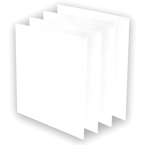 Pr&eacute;-filtres AeraMax Pro AM3 ou AM4, 13,75" la x 0,13" p x 14,38" h Kelford