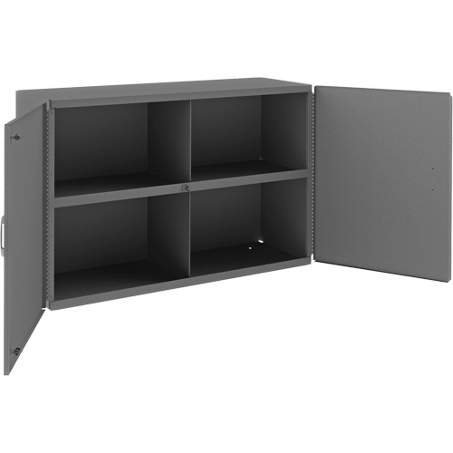Wall-Mountable Cabinet, 24" H x 33-13/16" W x 12-3/8" D, 1 Shelves, Steel, Grey Kelford
