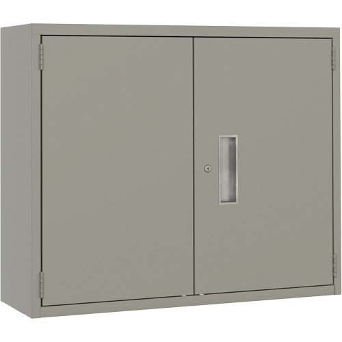 Armoire murale, Acier, 2 Tablettes, 30" h x 36" la x 12" P, Gris Kelford