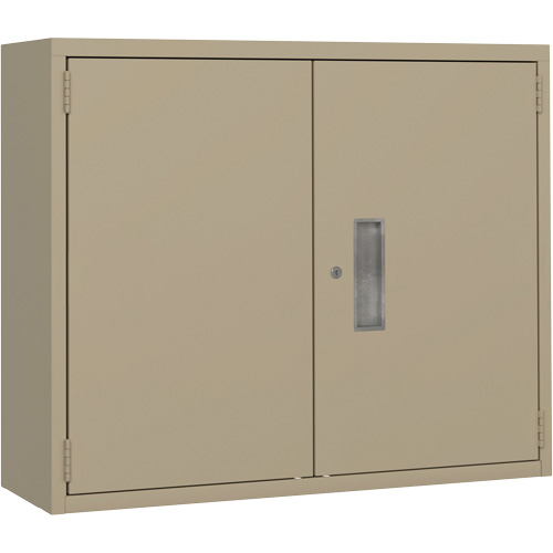 Wall Mounted Cabinet, Steel, 2 Shelves, 30" H x 36" W x 12" D, Beige Kelford