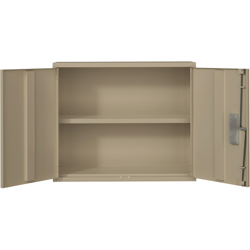 Wall Mounted Cabinet, Steel, 2 Shelves, 30" H x 36" W x 12" D, Beige Kelford