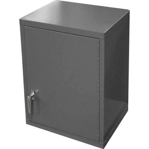 Armoire murale, 27" h x 13-11/16" la x 18" p, 2 tablettes, Acier, Gris Kelford