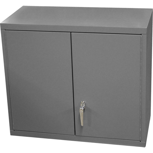 Armoire murale, 27" h x 13-11/16" la x 35-7/8" p, 2 tablettes, Acier, Gris Kelford