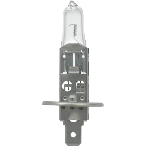 64155 Basic Automotive Bulb, Halogen, 78 W, Off White Kelford
