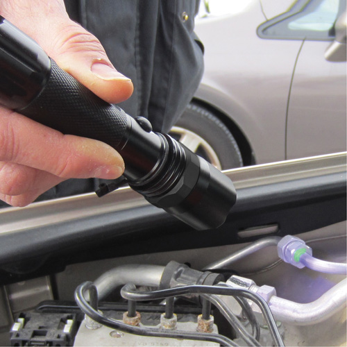 Rechargeable UV Flashlight Kelford
