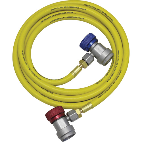 Ensemble flexible de rinçage pour syst&egrave;me de climatisation R134a Kelford