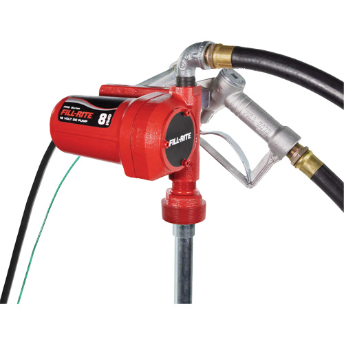 12V DC Fuel Transfer Pump with Nozzle Kelford