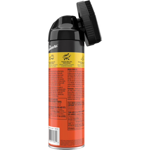 Carpet & Upholstery Cleaner Kelford