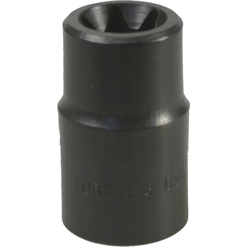 Douille Torx&reg; E-18 Kelford