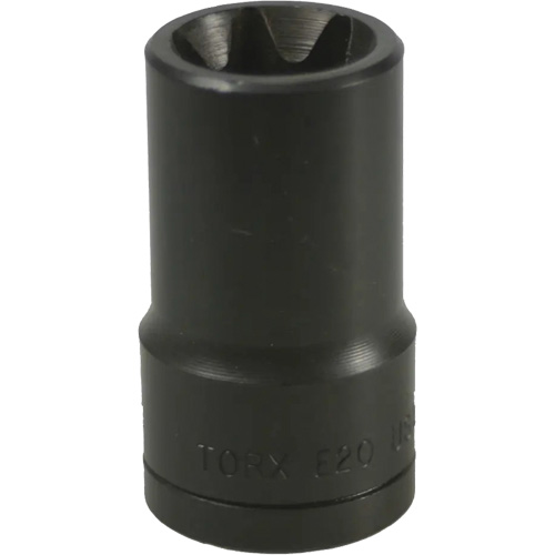 Douille Torx&reg; E-20 Kelford