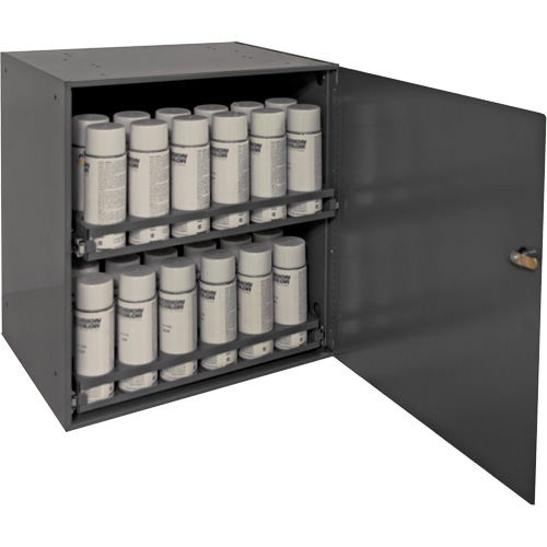 Armoire de rangement pour contenants a&eacute;rosol, Acier, 21-7/8" h x 15-15/16" la x 20-5/16" P, Gris Kelford