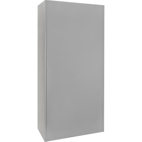 Armoire garde-robe, Acier, 36" la x 18" p x 72" h, Gris Kelford