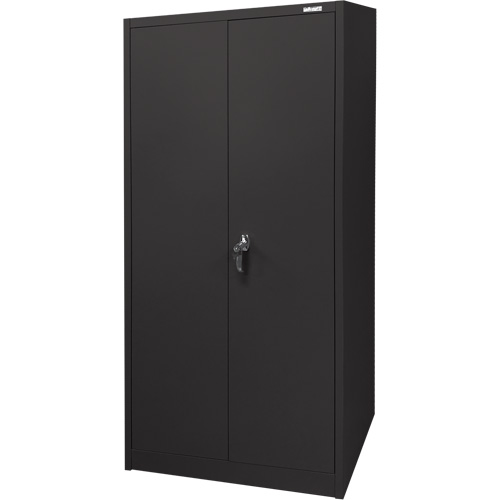 Storage Cabinet, Steel, 4 Shelves, 66" H x 30" W x 15" D, Black Kelford
