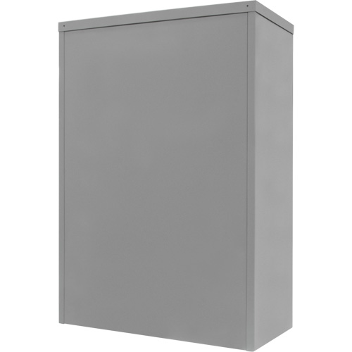 Armoire de rangement &agrave; hauteur de comptoir, Acier, 2 Tablettes, 42" h x 30" la x 15" P, Gris Kelford