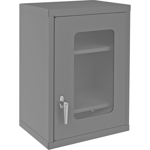 Armoire de rangement murale avec portes transparentes, 26-15/16" h x 18-1/8" la x 13-11/16" p, 2 tablettes, Acier, Gris Kelford