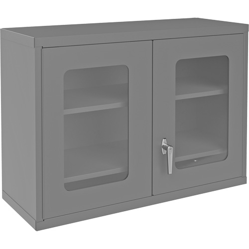 Armoire de rangement murale avec portes transparentes, 26-15/16" h x 35-7/8" la x 13-11/16" p, 2 tablettes, Acier, Gris Kelford