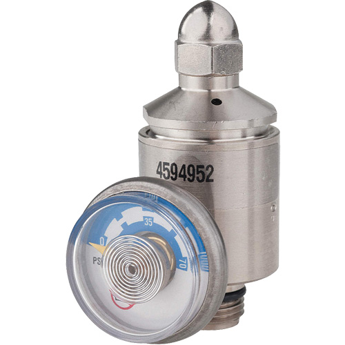 Gas Resistant Regulator Kelford