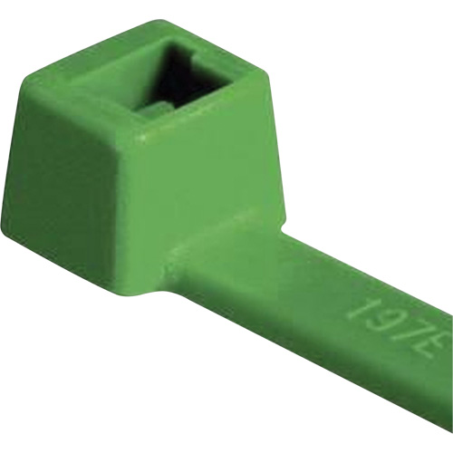 Attaches pour c&acirc;ble PA66 homologu&eacute;es UL, Longueur 4", R&eacute;sistance &agrave; la traction 18 lb, Vert Kelford