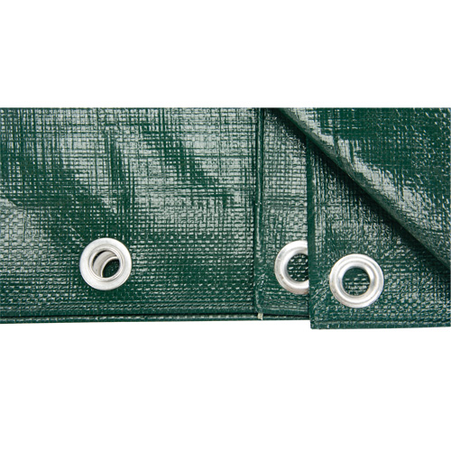 B&acirc;che, Robuste, Vert, 60' x 40' x 9 mils Kelford