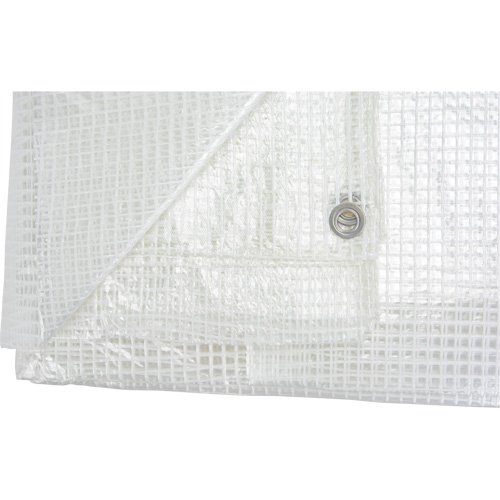 Clear Tarp, 12' x 10' x 8 mils Kelford