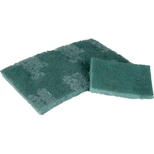 Tampon de r&eacute;curage, 3" lo x 4-1/2" la Kelford