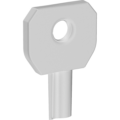 Lock or Not Dispenser Key Kelford