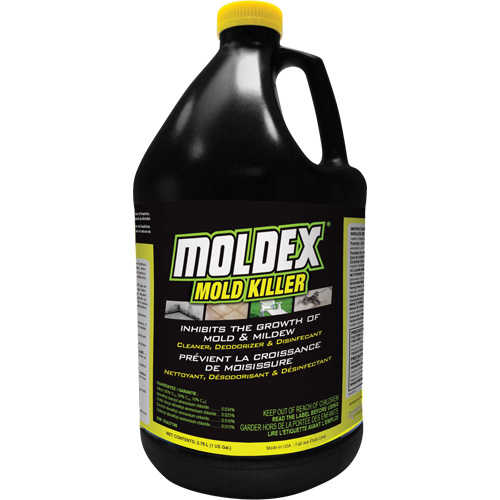 Moldex&reg; Mold Killer, 3.78 L, Jug Kelford