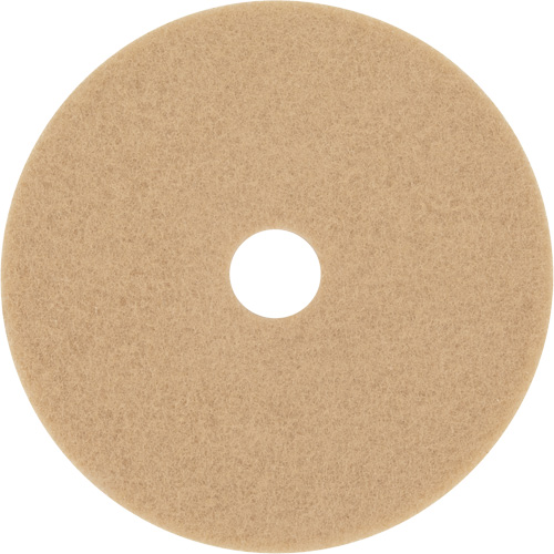 Trizact Diamond TZ Abrasive Strip, 20", Burnishing, Beige Kelford