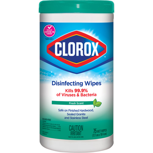 Disinfecting Wipes, 75 Count Kelford