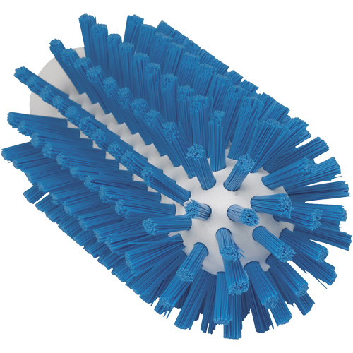 Brosse de 2,5", Soies Ferme, Longueur de 5-3/5", Bleu Kelford