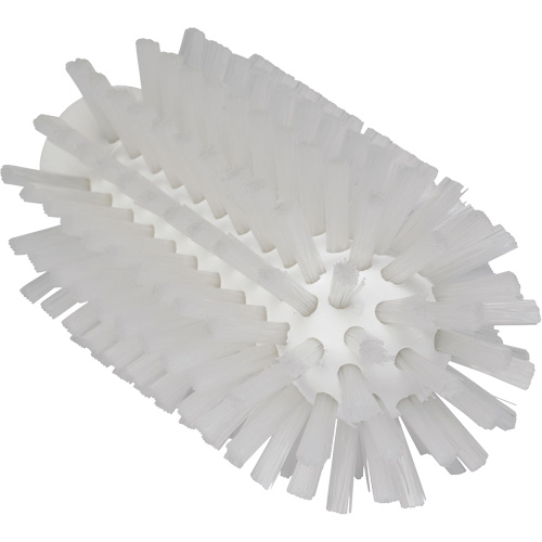 Brosse de 2,5", Soies Ferme, Longueur de 5-3/5", Blanc Kelford