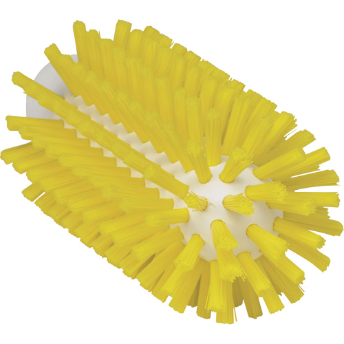 Brosse de 2,5", Soies Ferme, Longueur de 5-3/5", Jaune Kelford
