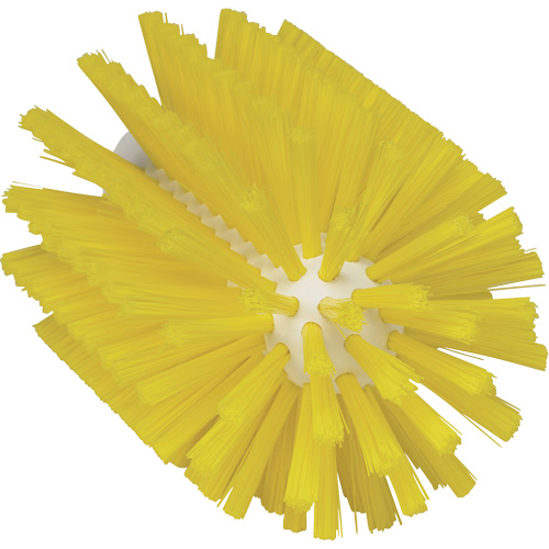 Brosse de 3,5", Soies Moyen, Longueur de 6", Jaune Kelford
