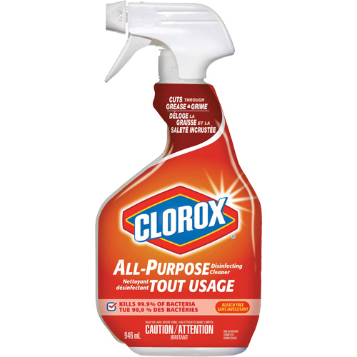 All-Purpose Disinfecting Cleaner Spray, 946 ml, Trigger Bottle Kelford