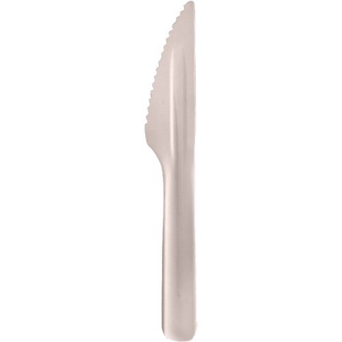Bagasse Compostable Knives Kelford