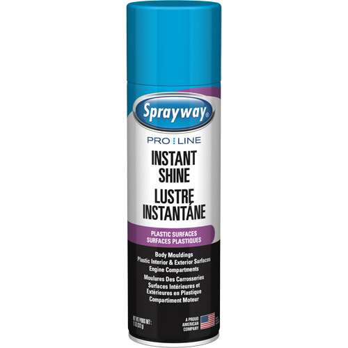 Pro Line Instant Shine for Plastic Surfaces, 11 oz., Aerosol Can Kelford