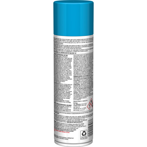 Pro Line Instant Shine for Plastic Surfaces, 11 oz., Aerosol Can Kelford