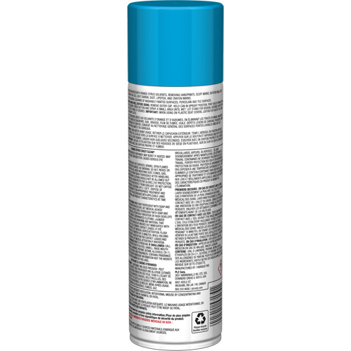 Pro Line Crazy Clean&reg; All Purpose Cleaner, 19 oz., Aerosol Can Kelford