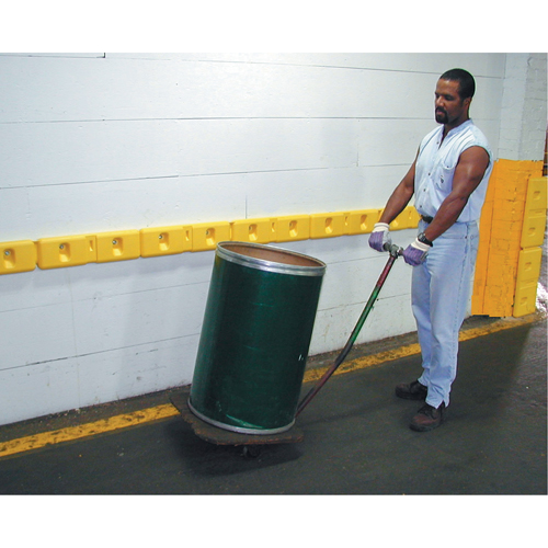 10" Wall Protectors Kelford