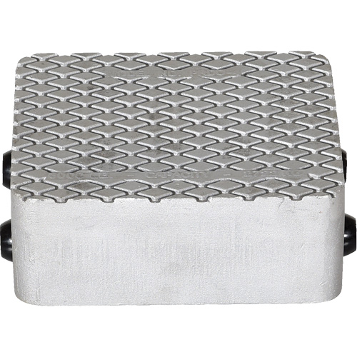 Cast Aluminum Propel Dolly Kelford