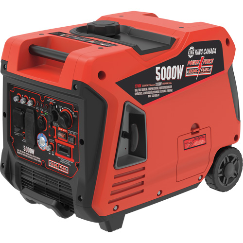 Dual Fuel Gasoline/Propane Inverter Generator Kelford